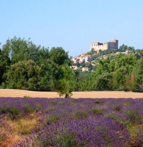 グレウー・レ・バンLe Provenceアパートメント エクステリア 写真